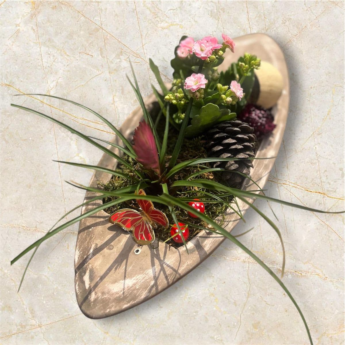 Büyük Sandalda  Viresia Ve Kalanchoe - Küçük Görsel 2