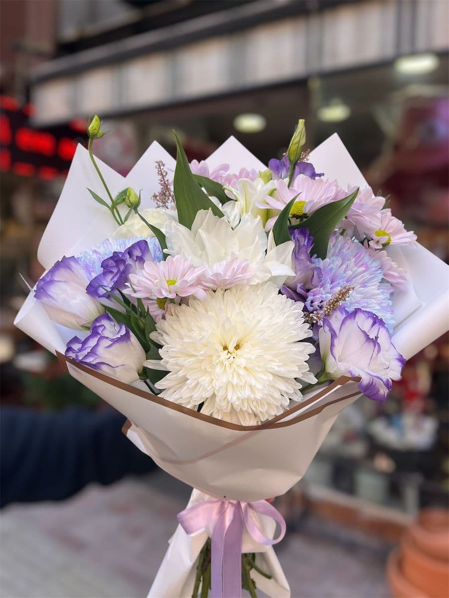 Renkli Anastasıa Asaleti - Küçük Görsel 3