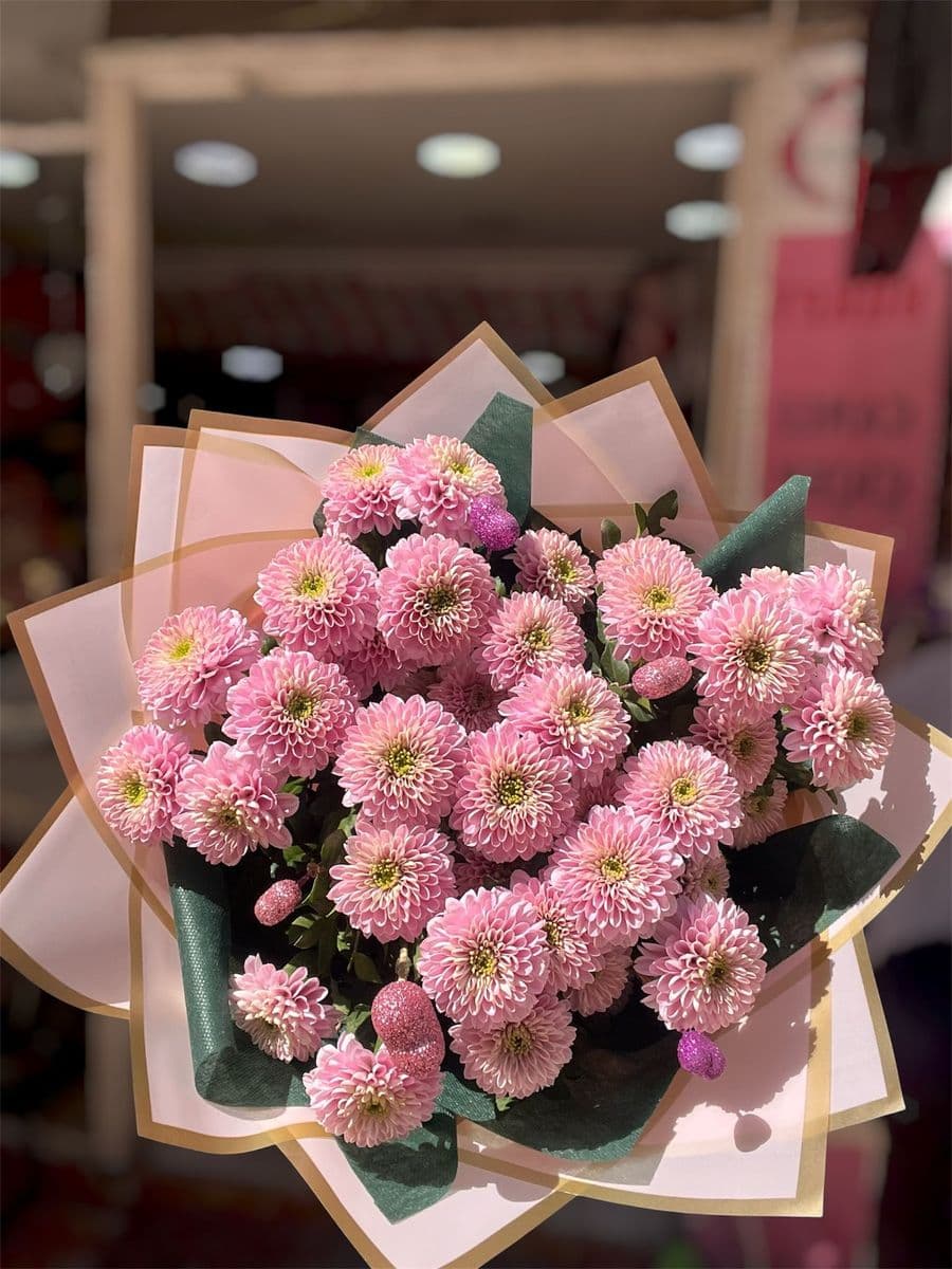 Ponpon Güzeli - Küçük Görsel 2