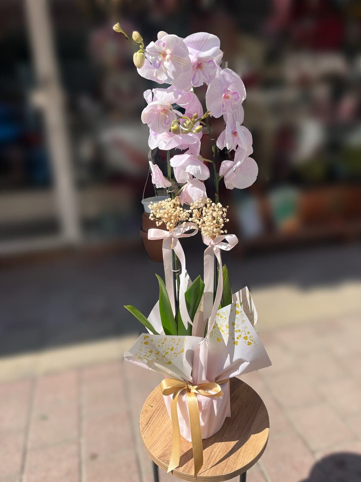 Soft Pembe Orkide - Küçük Görsel 2