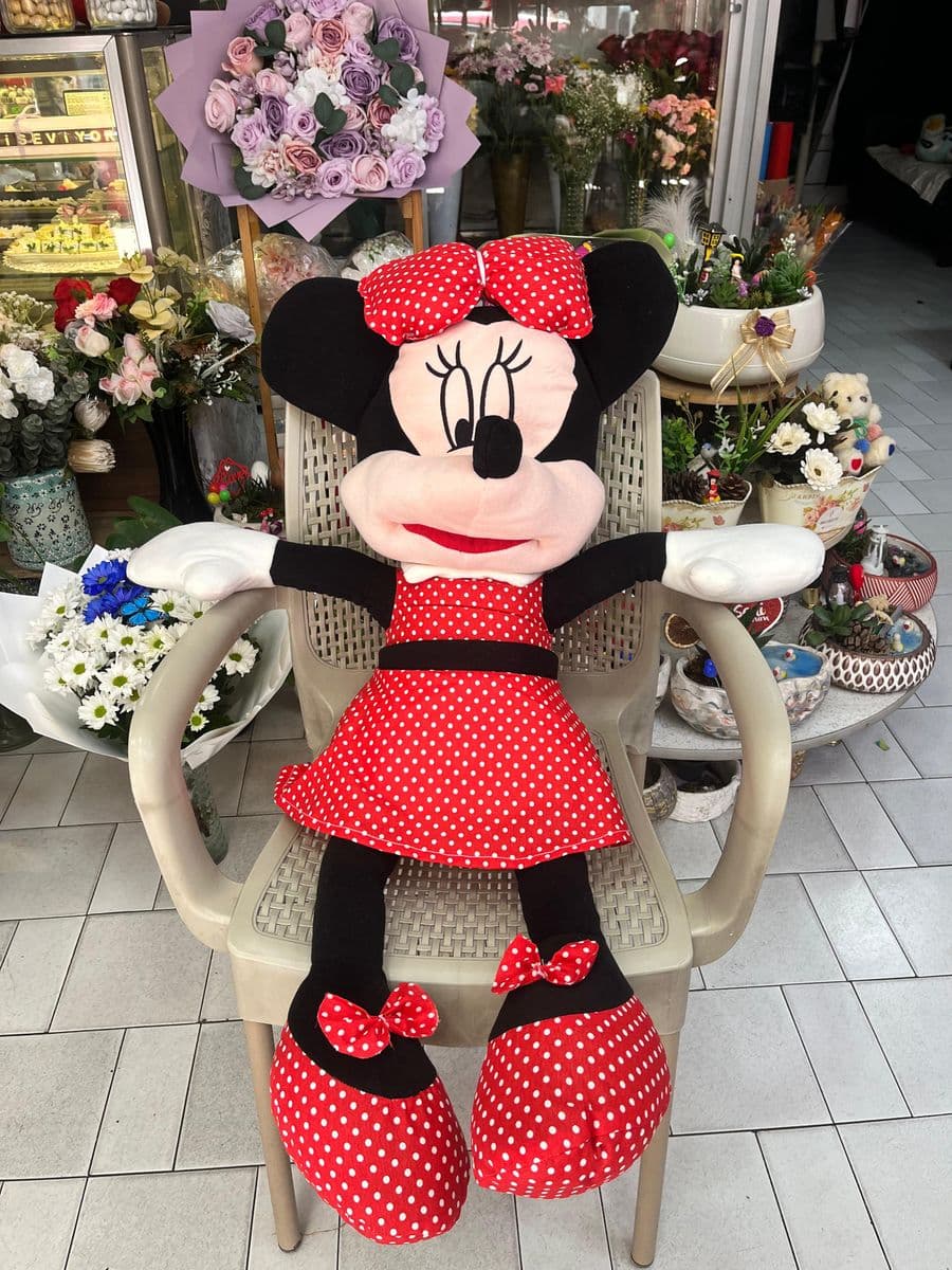 Sevimli Mickey