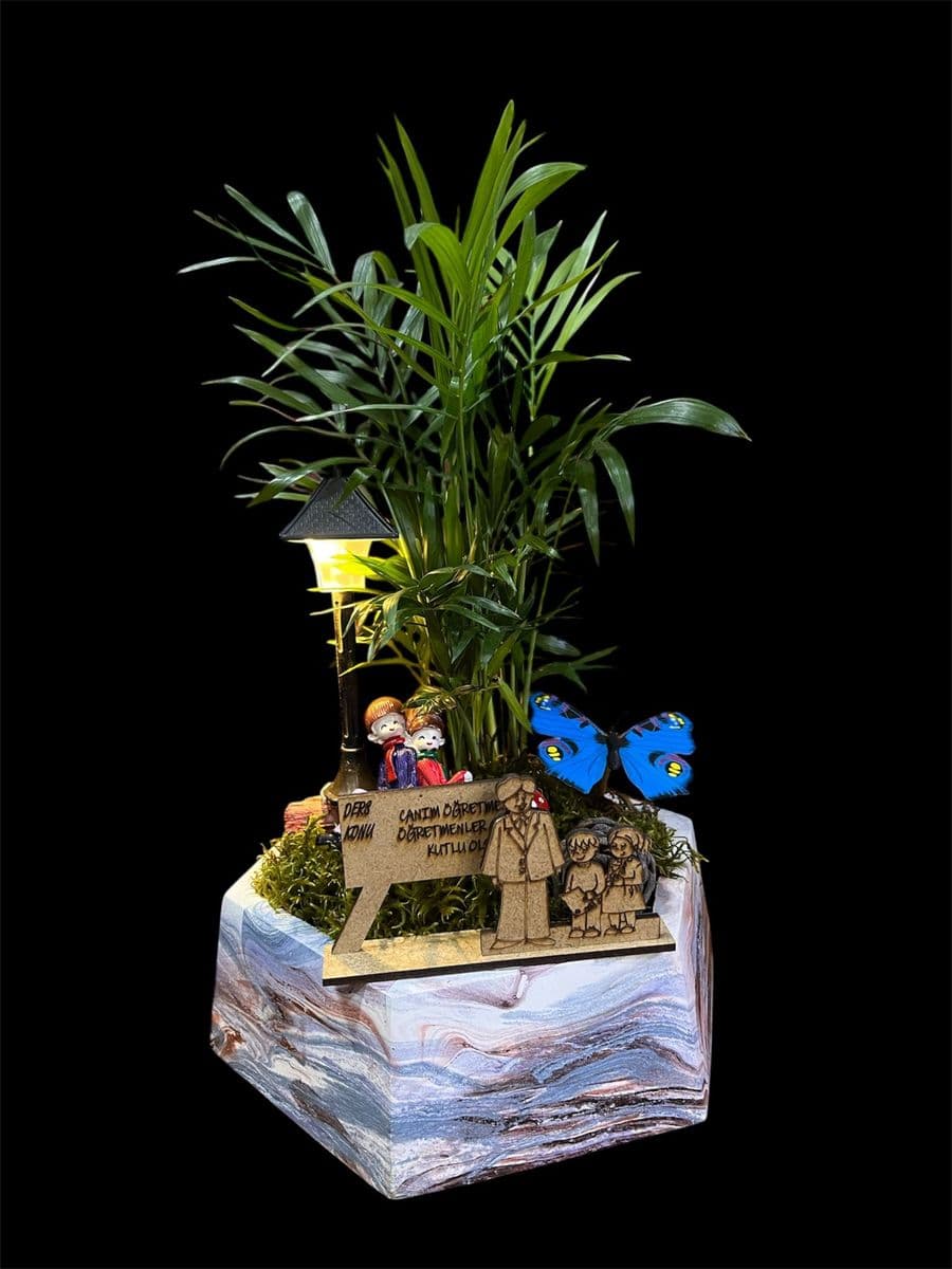 Beşgen Saksıda Aranjman