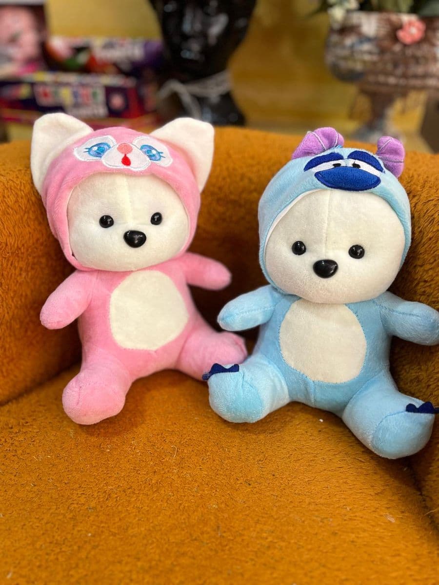 Kapşonlu Ayıcık - Görsel 1