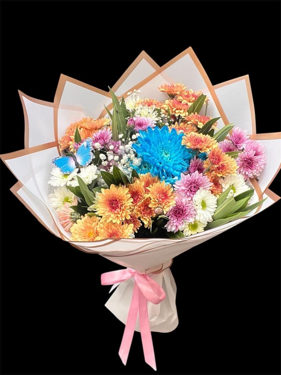 Beyaz Jelatinde Kasımpatı