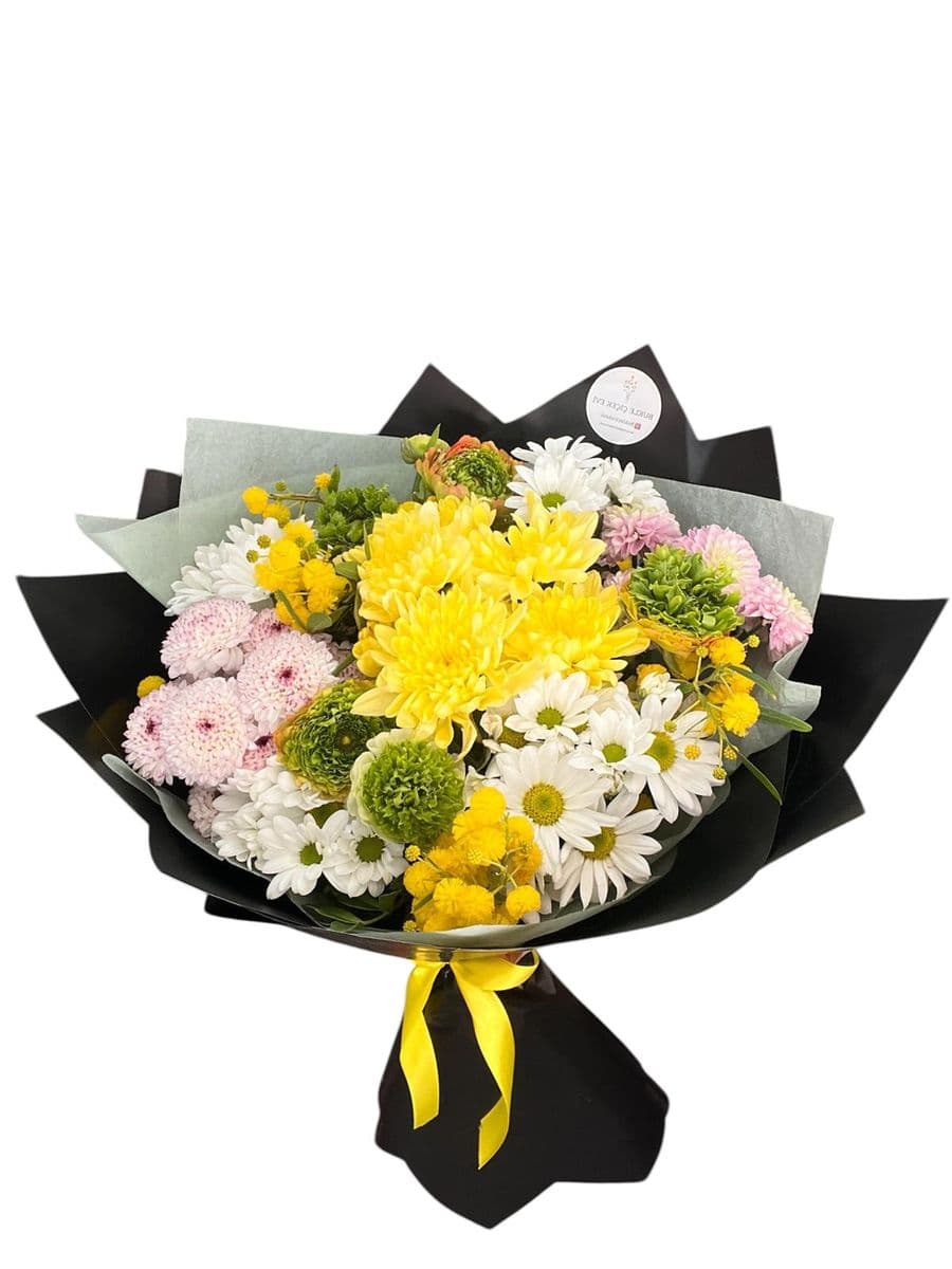 Mimoza Güzeli - Görsel 1