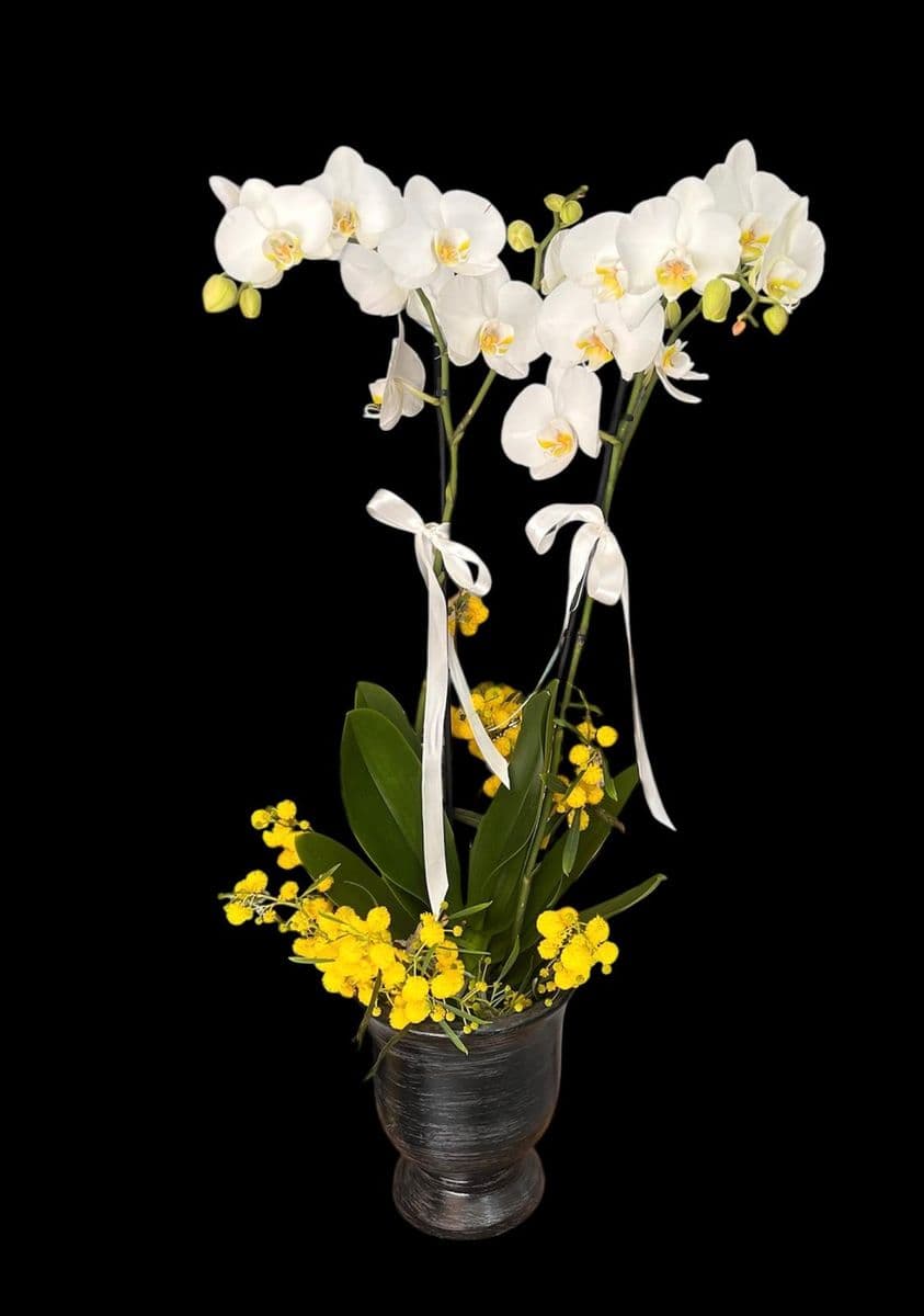 Ayaklı Dekor Saksıda Orkide Asaleti - Görsel 1