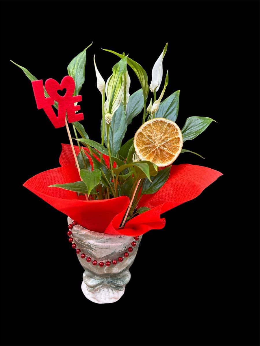 Fiyonk Saksıda Spatifilyum