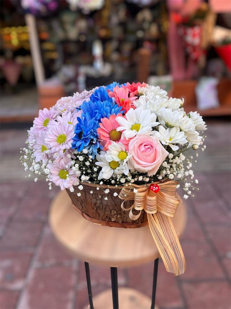 Sepette Kasımpatı Güzelliği - Görsel 1