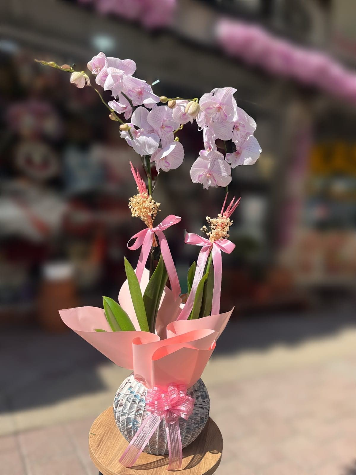 Midye Saksıda İnci Pembe Orkide - Görsel 1