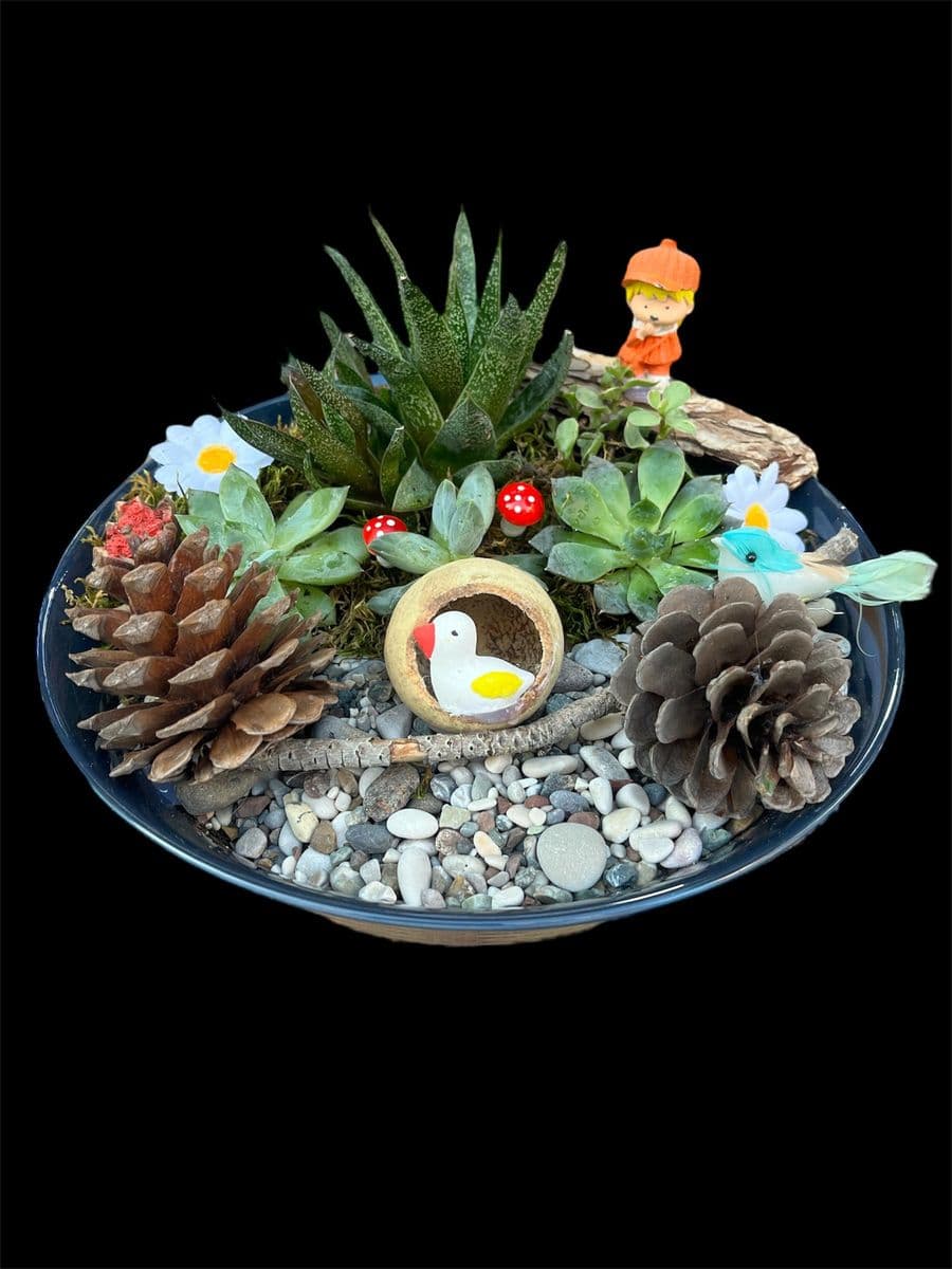 Kozalak Detaylı Teraryum - Küçük Görsel 2