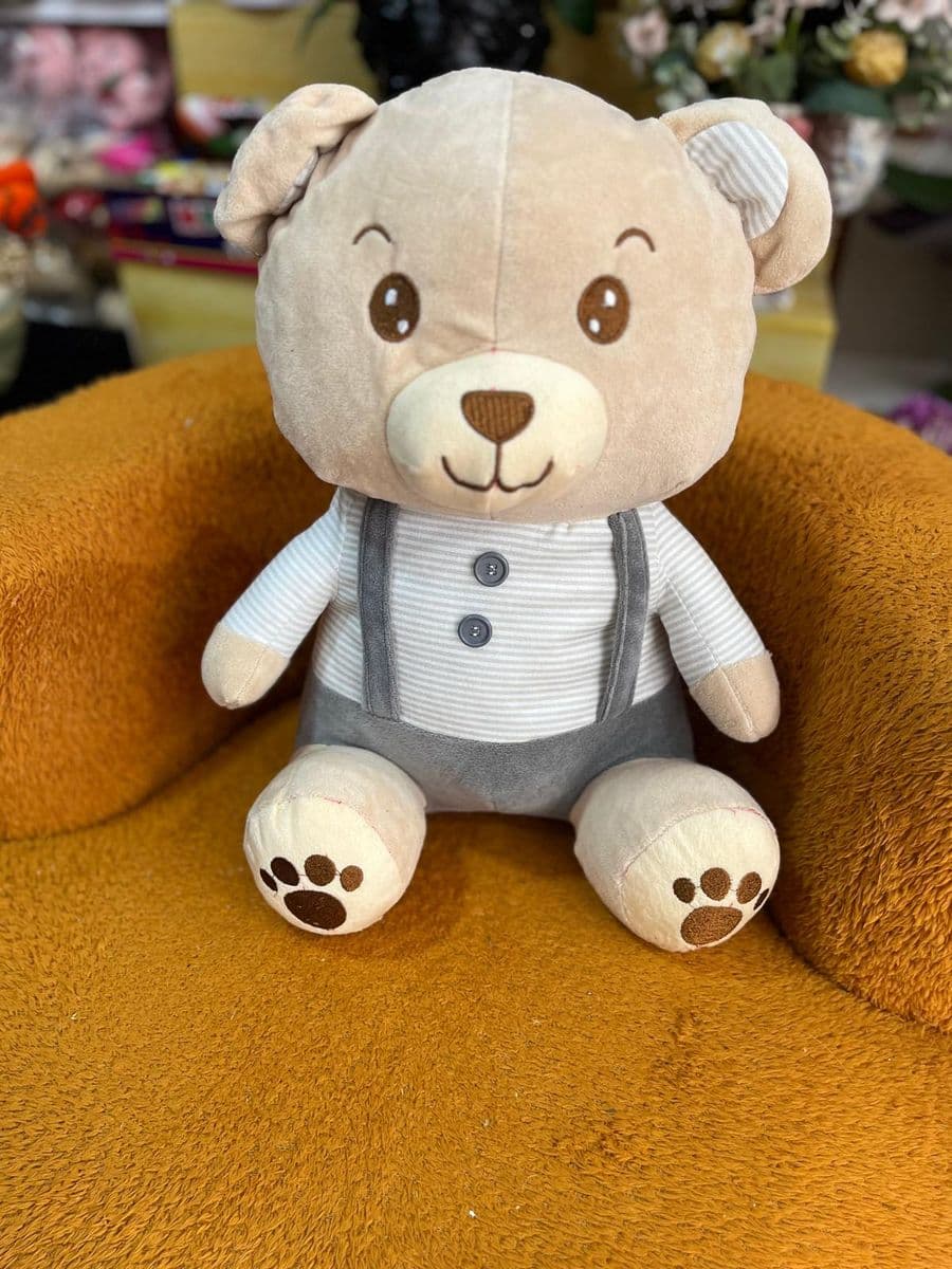 Pantalonlu Sevimli Ayıcık - Görsel 1