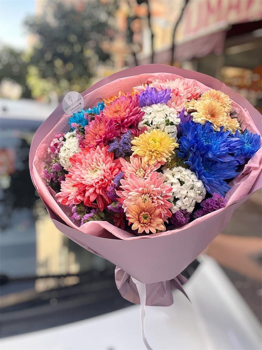 Gökkuşağı Kasımpatı Güzeli - Küçük Görsel 2