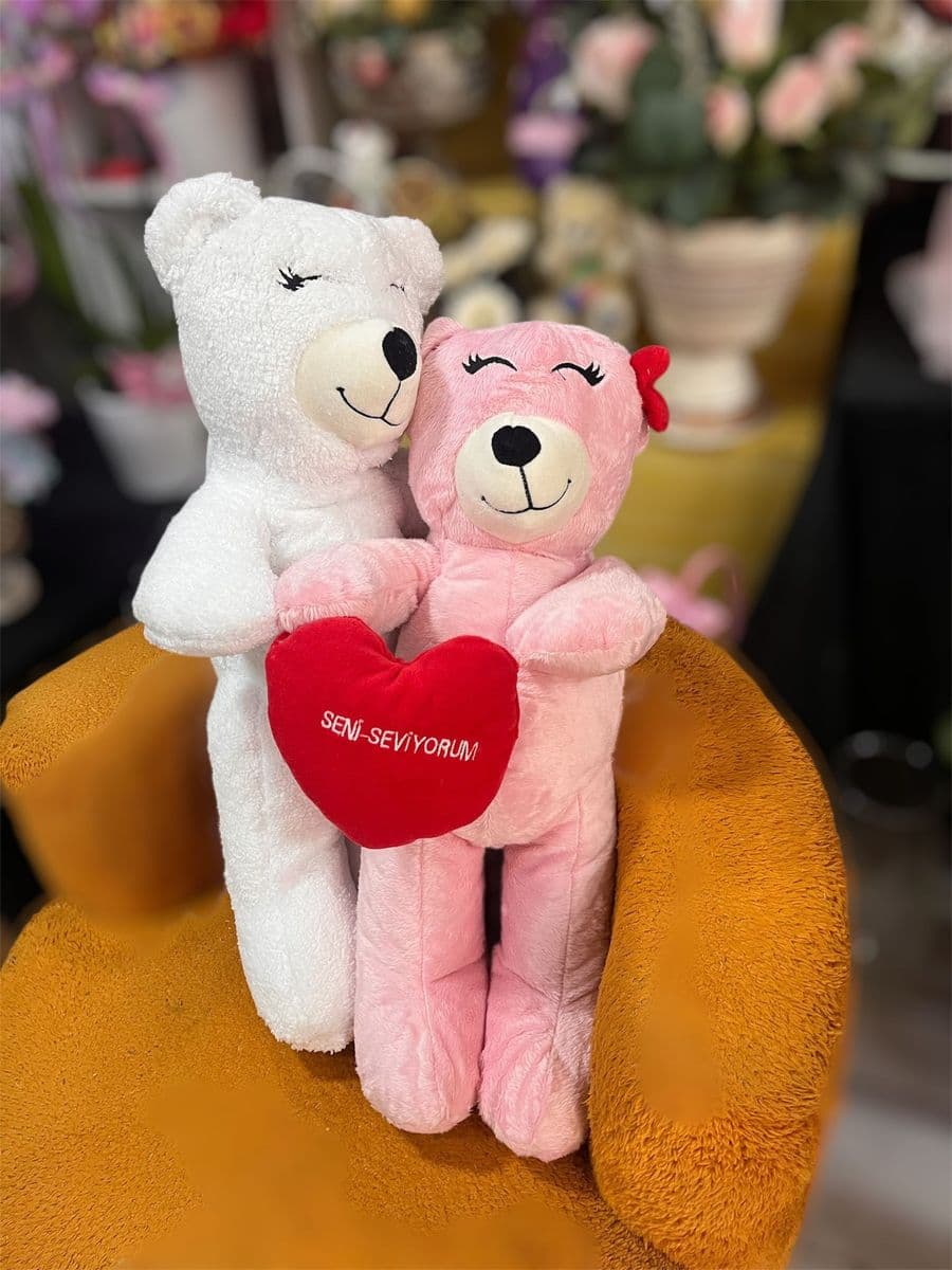 Sevimli Aşıklar Çift Ayıcık - Görsel 1