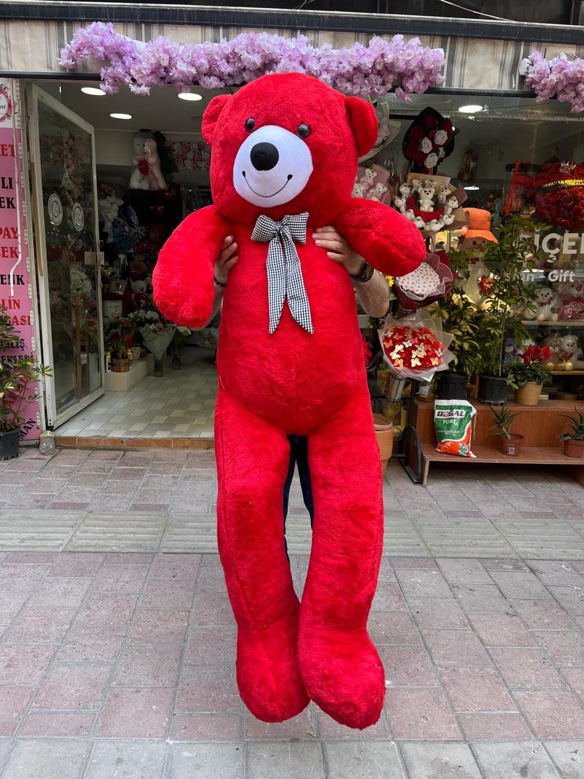 Jumbo Boy Kırmızı Ayıcık - Küçük Görsel 2
