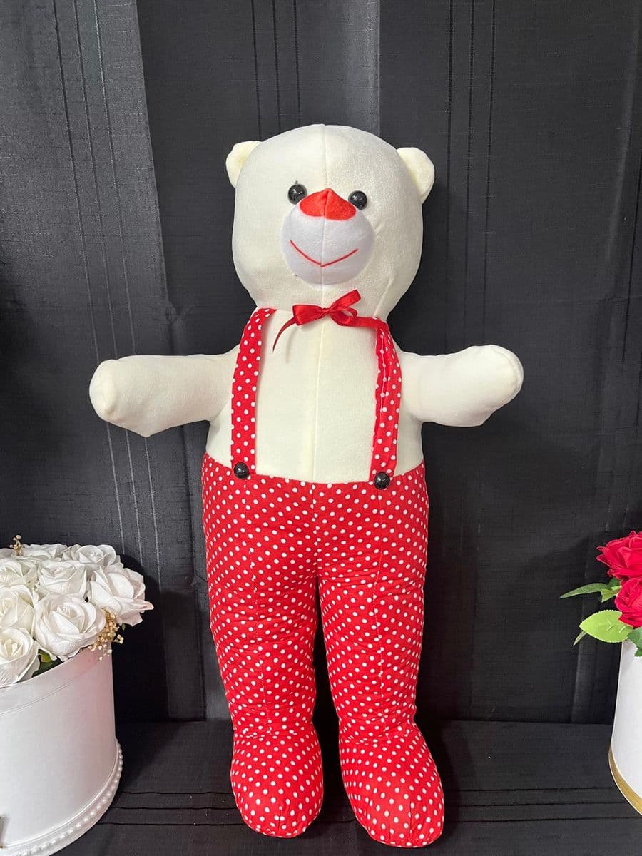 Pantalonlu Büyük Ayıcık - Görsel 1