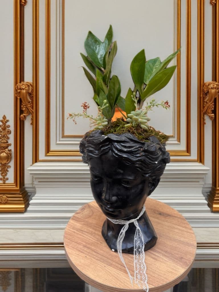 Helen Saksıda Zamia Aranjman - Görsel 1