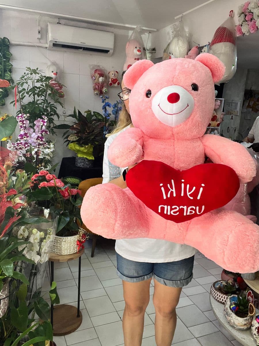 Büyük Yastıklı Peluş Ayıcık