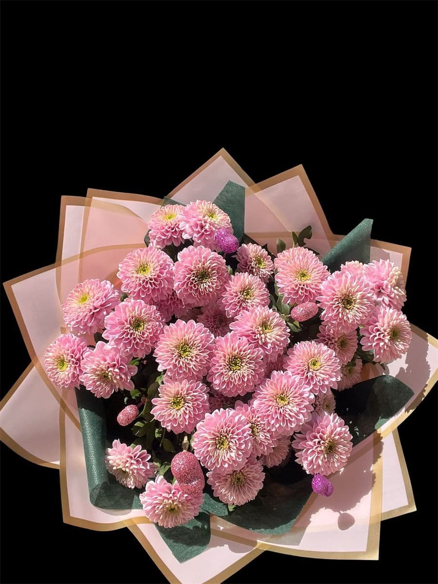 Ponpon Güzeli - Görsel 1