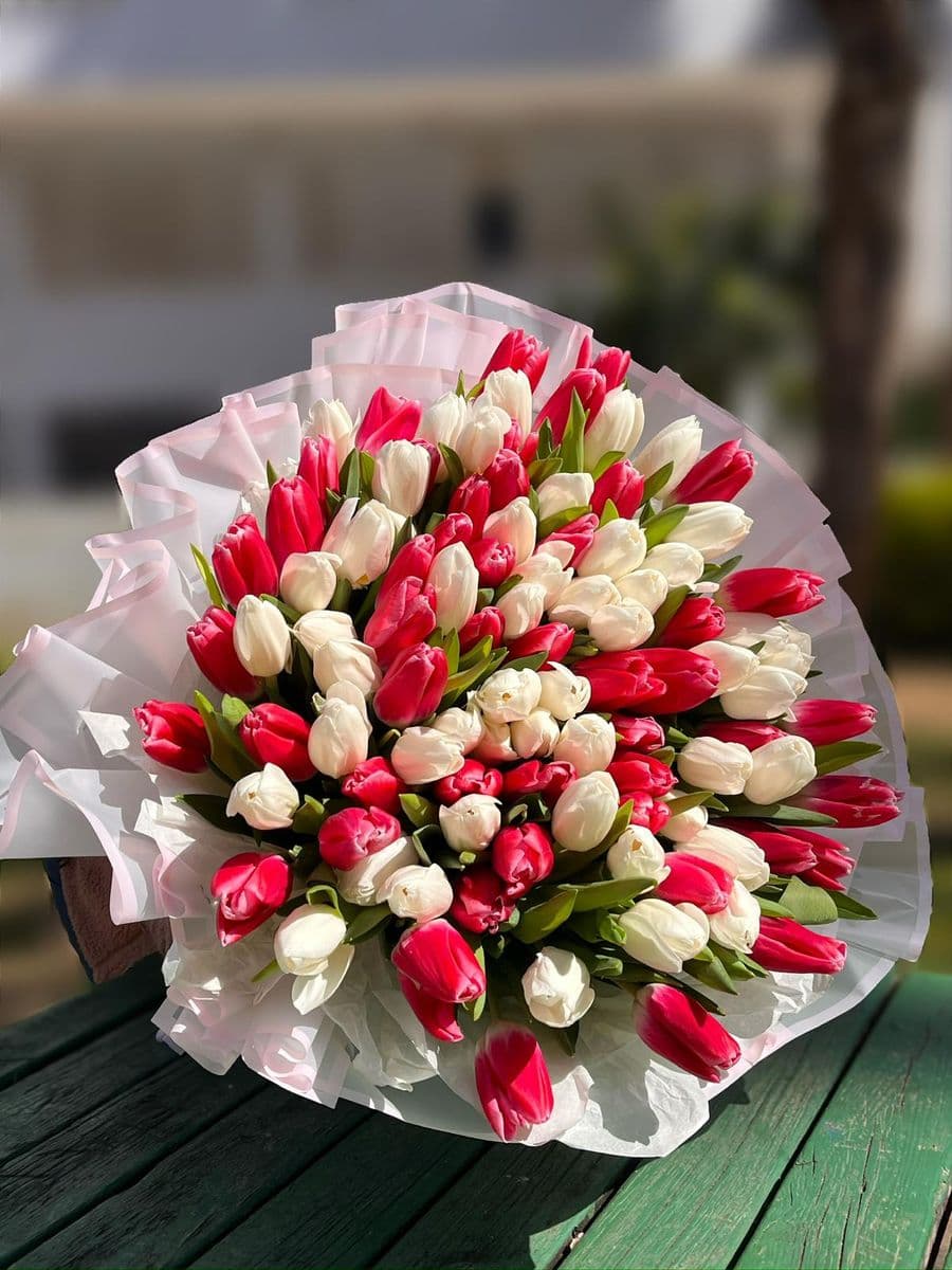 Sonsuz Aşk 101  - Görsel 1