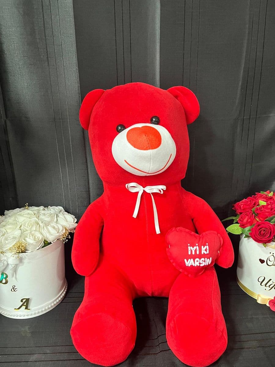 Büyük Kırmızı Ayıcık - Görsel 1