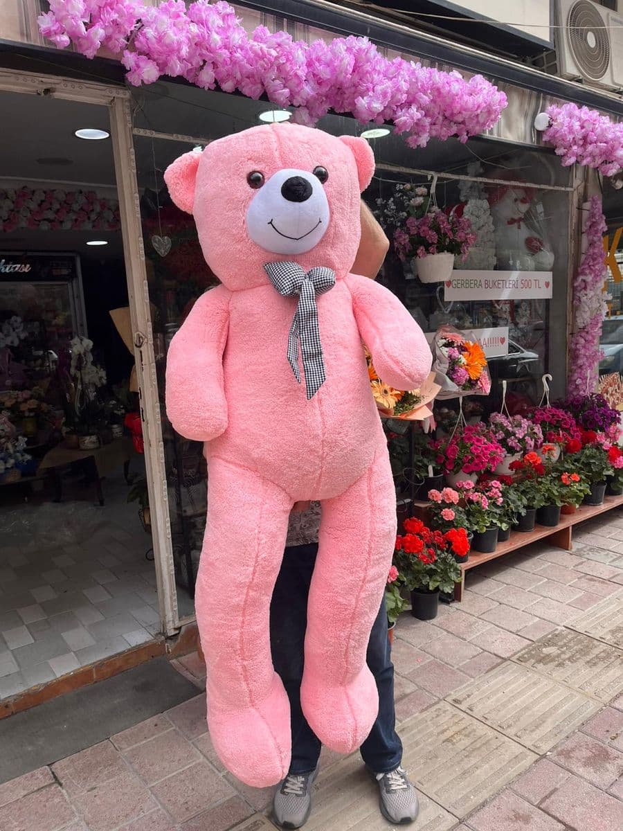 Büyük Pembe Ayıcık - Küçük Görsel 2