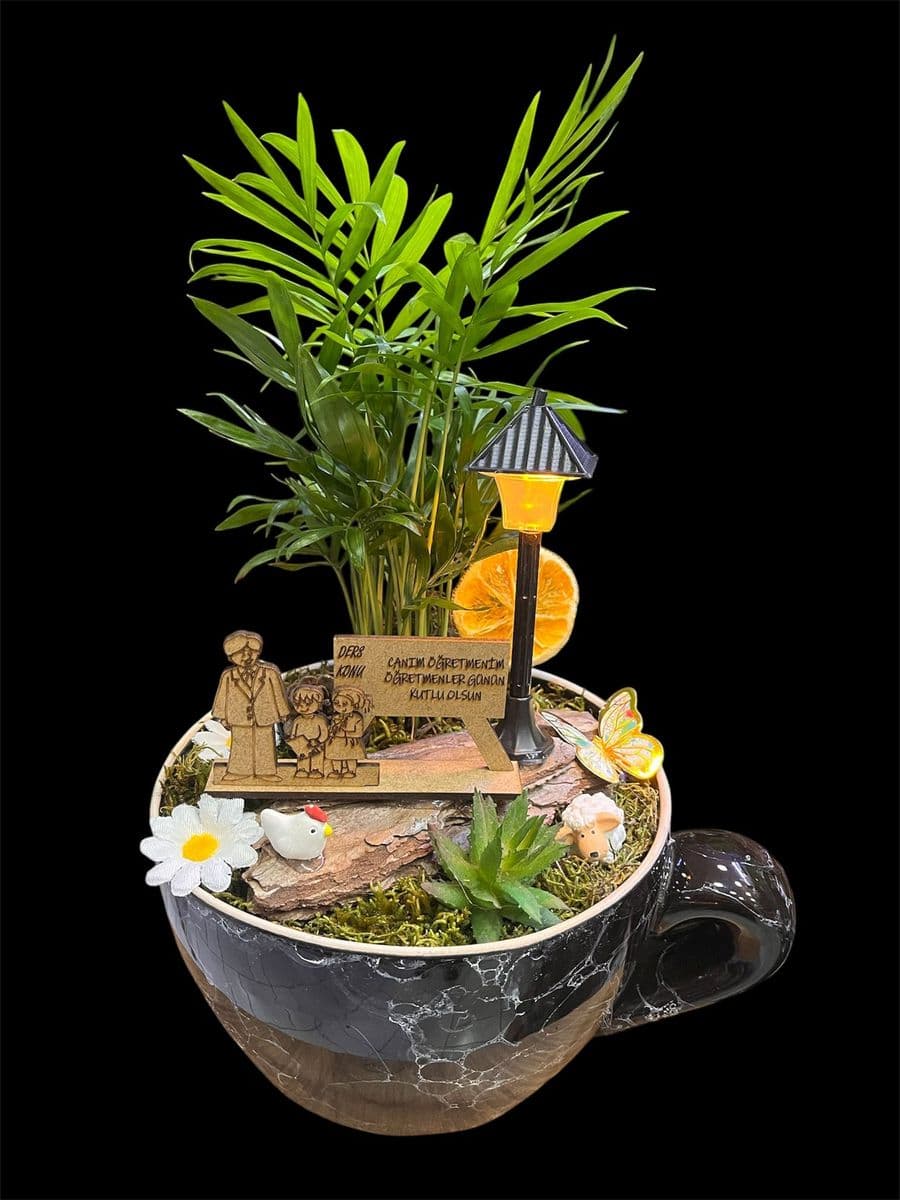 Fincan Saksıda Aranjman