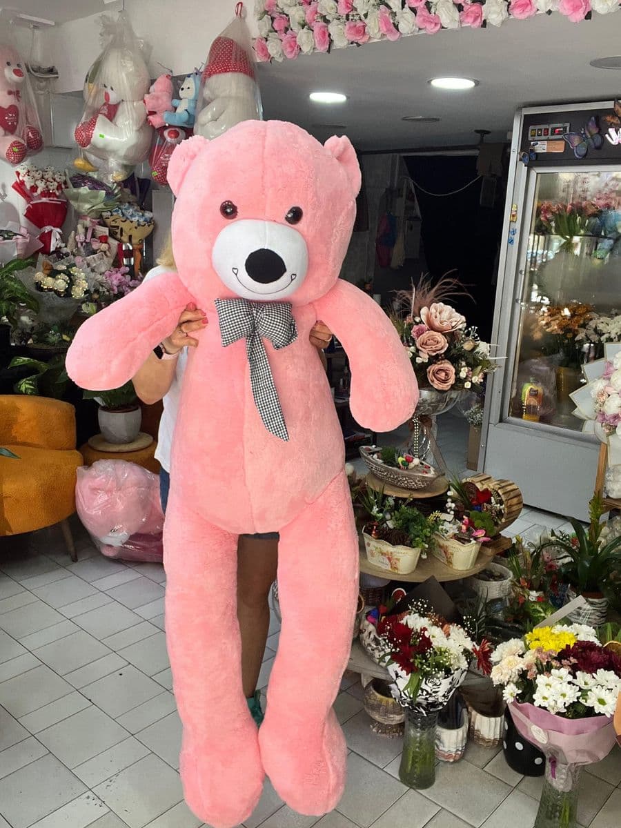 Pembe Büyük Ayıcık - Küçük Görsel 2
