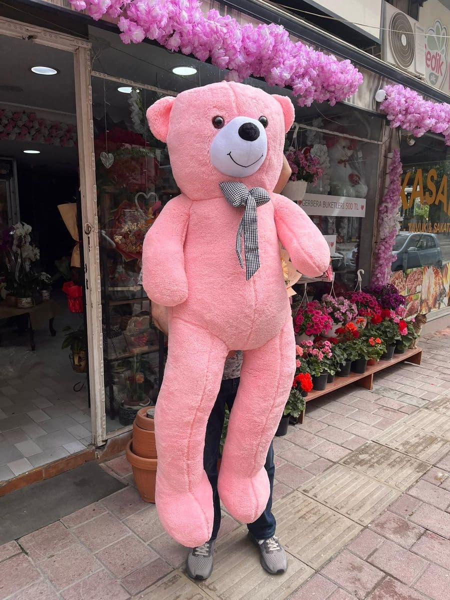 Büyük Pembe Ayıcık - Görsel 1