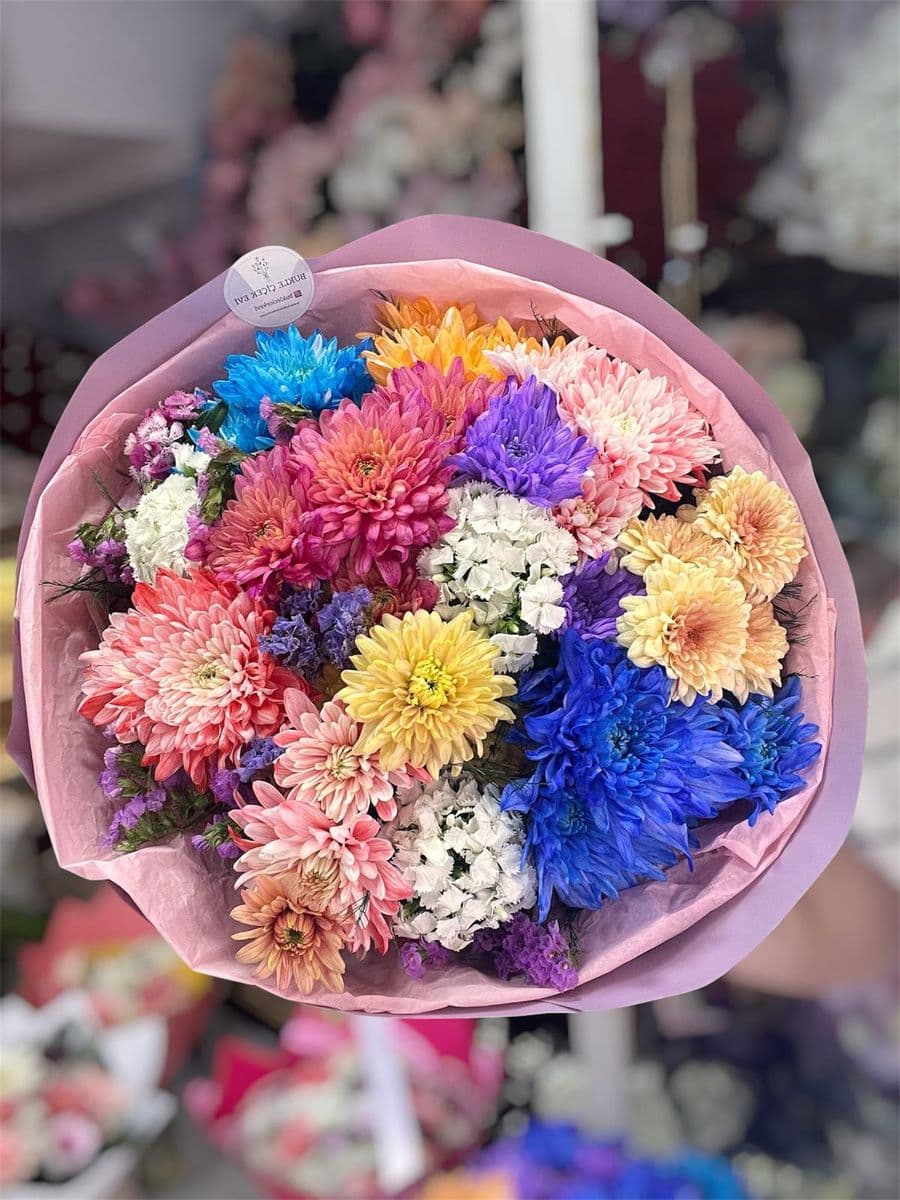 Gökkuşağı Kasımpatı Güzeli