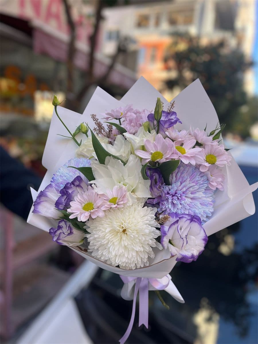 Renkli Anastasıa Asaleti - Küçük Görsel 2