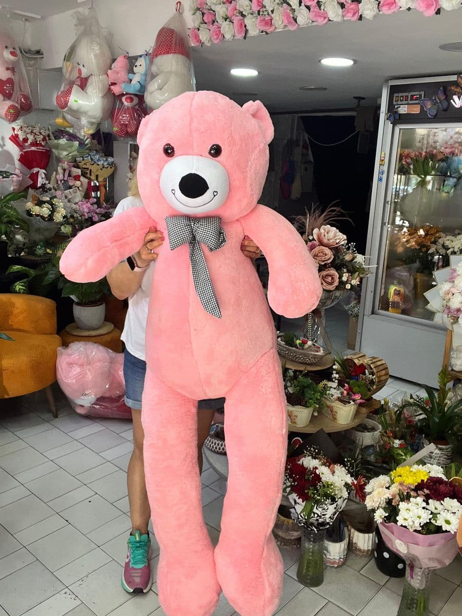 Pembe Büyük Ayıcık