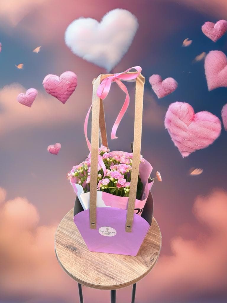 Saksıda Kalanchoe - Küçük Görsel 2