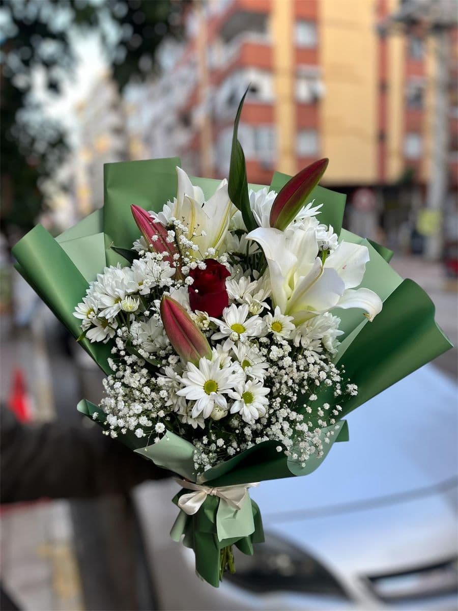 Kazablanka Ve Papatya Buketi