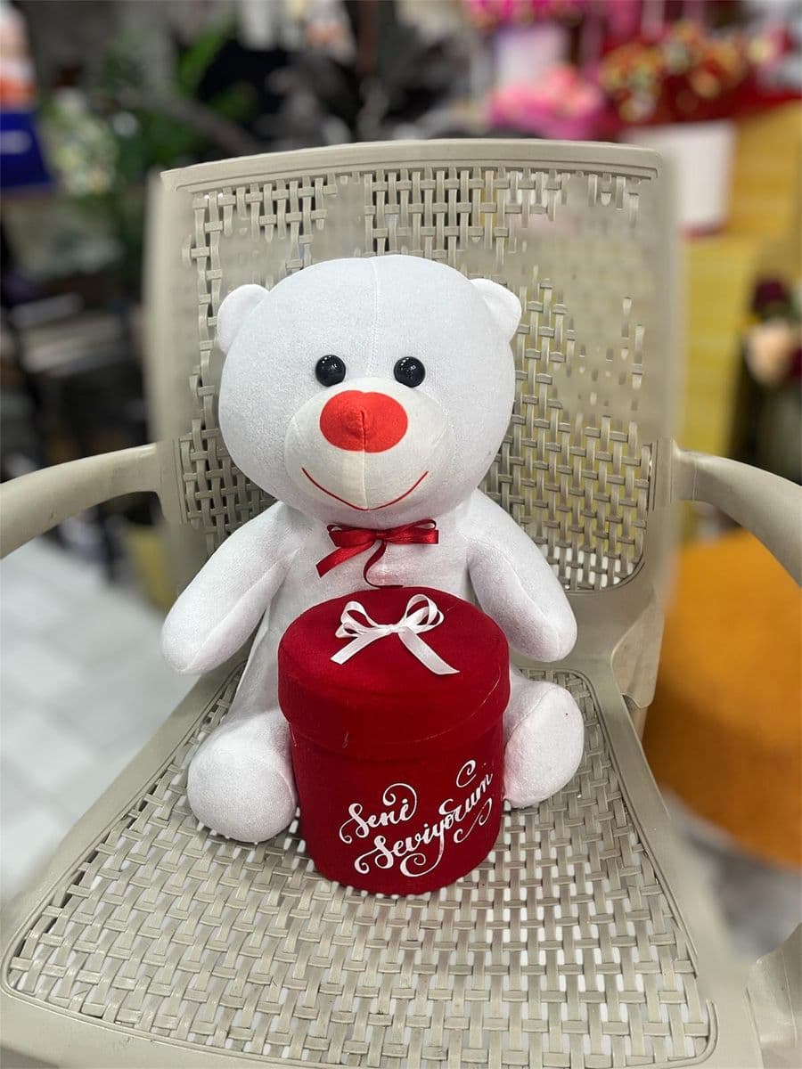 Kırmızı Kutulu Ayıcık - Görsel 1