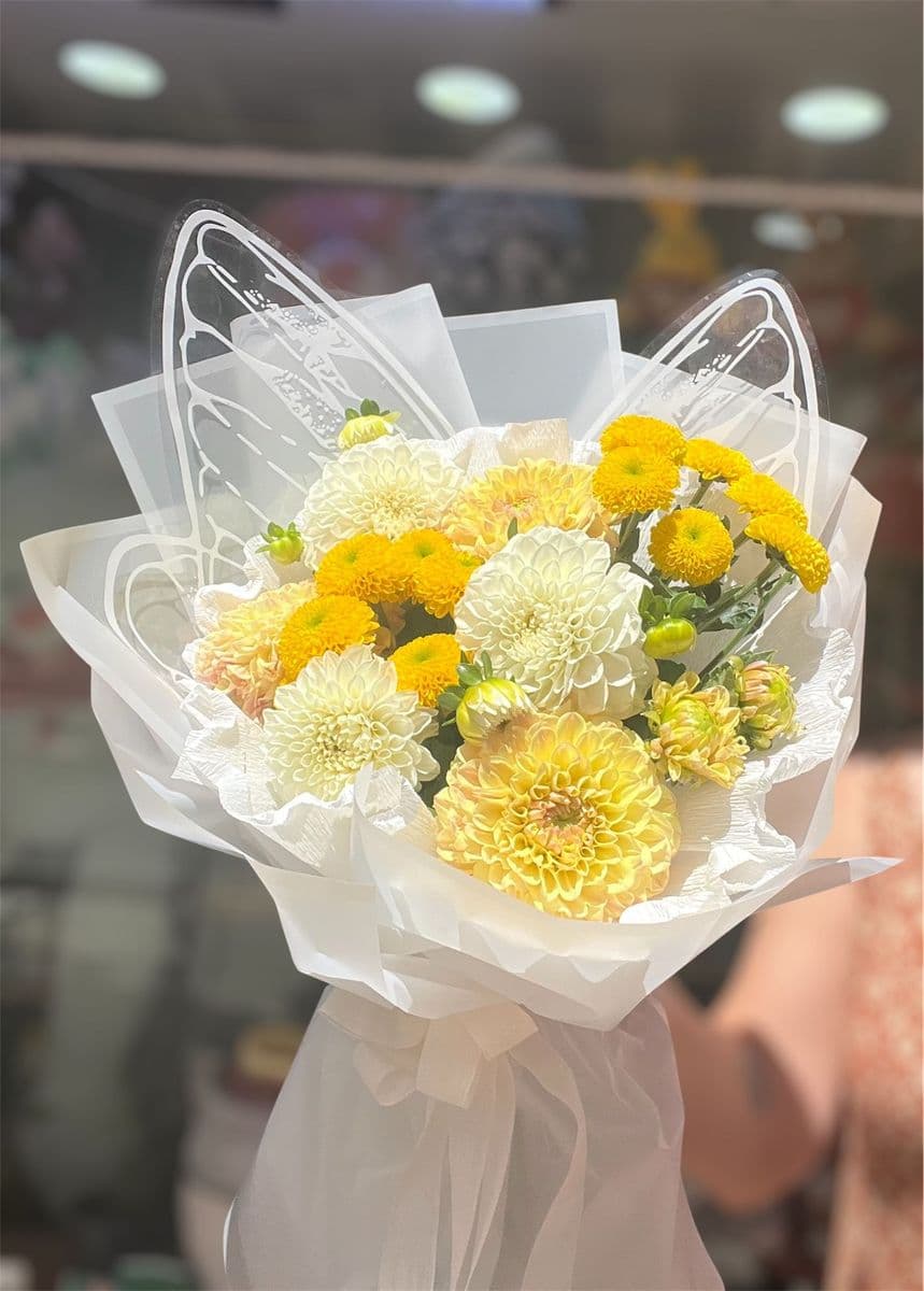 Kelebek Kanatlı Dahlia