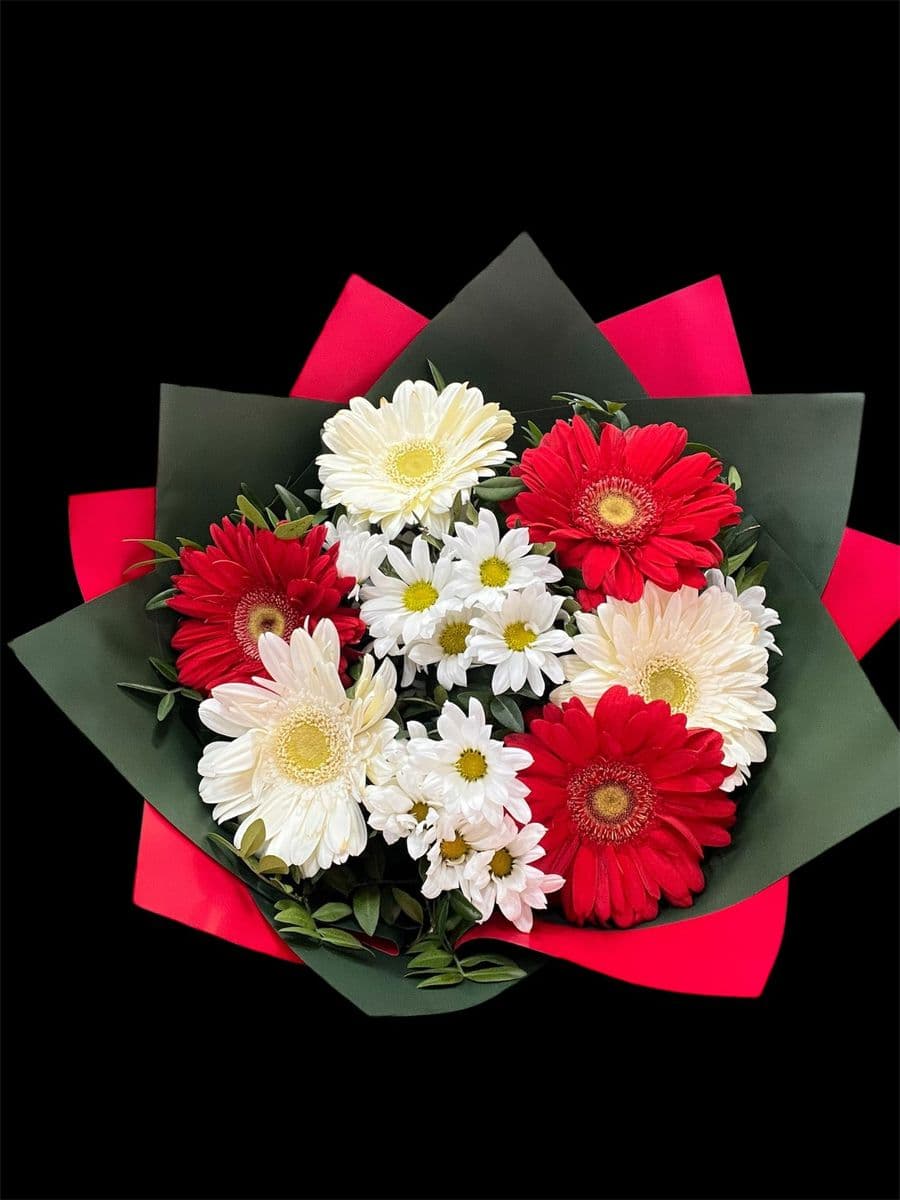 Kırmızı Gerbera Büyüsü - Görsel 1