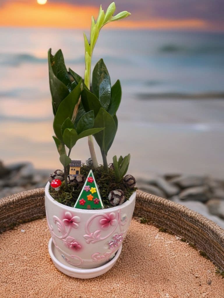 Taşlı Dekor Saksıda Zamia - Görsel 1