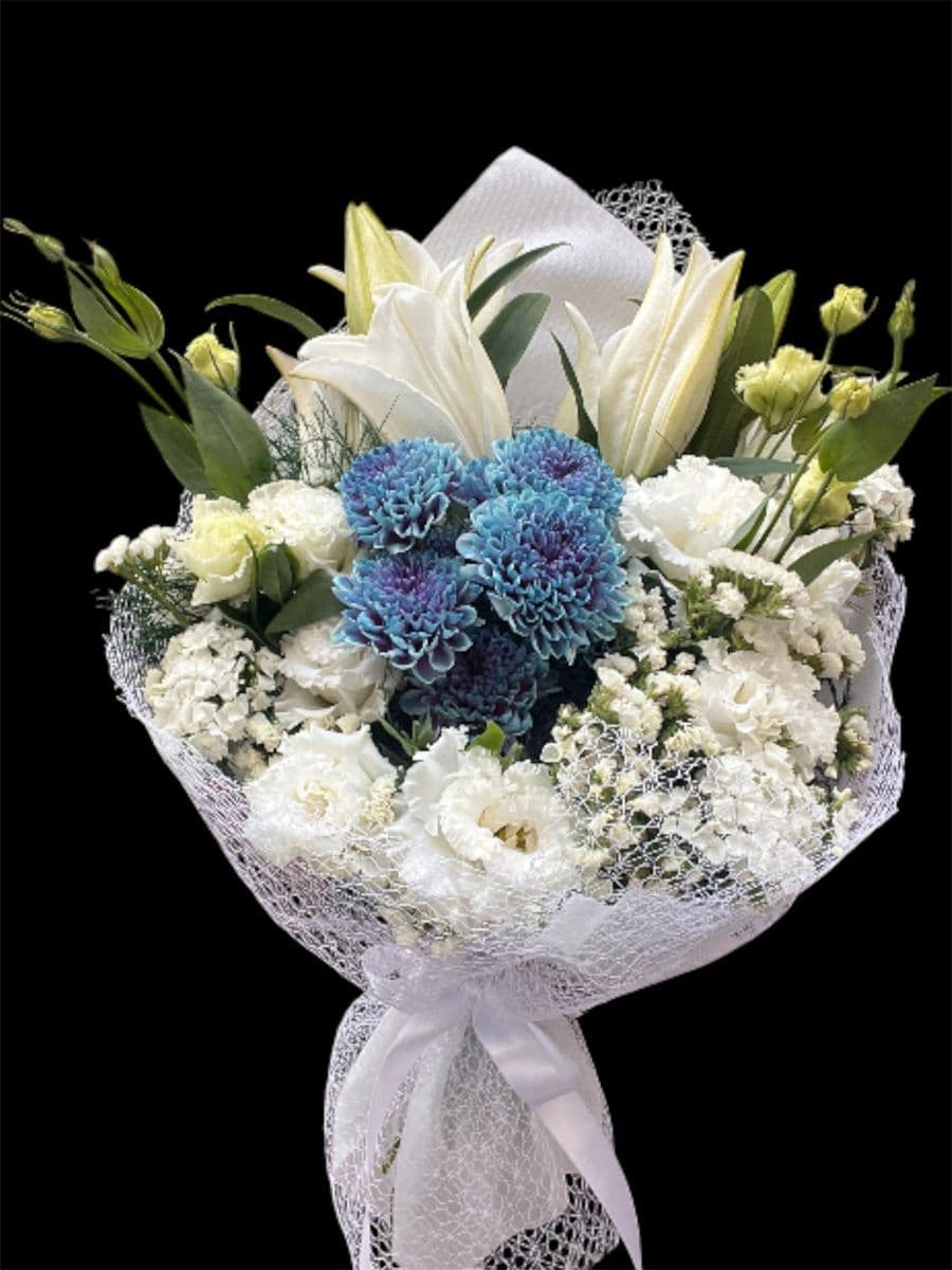 Kazablanka Ve İthal Kasımpatı