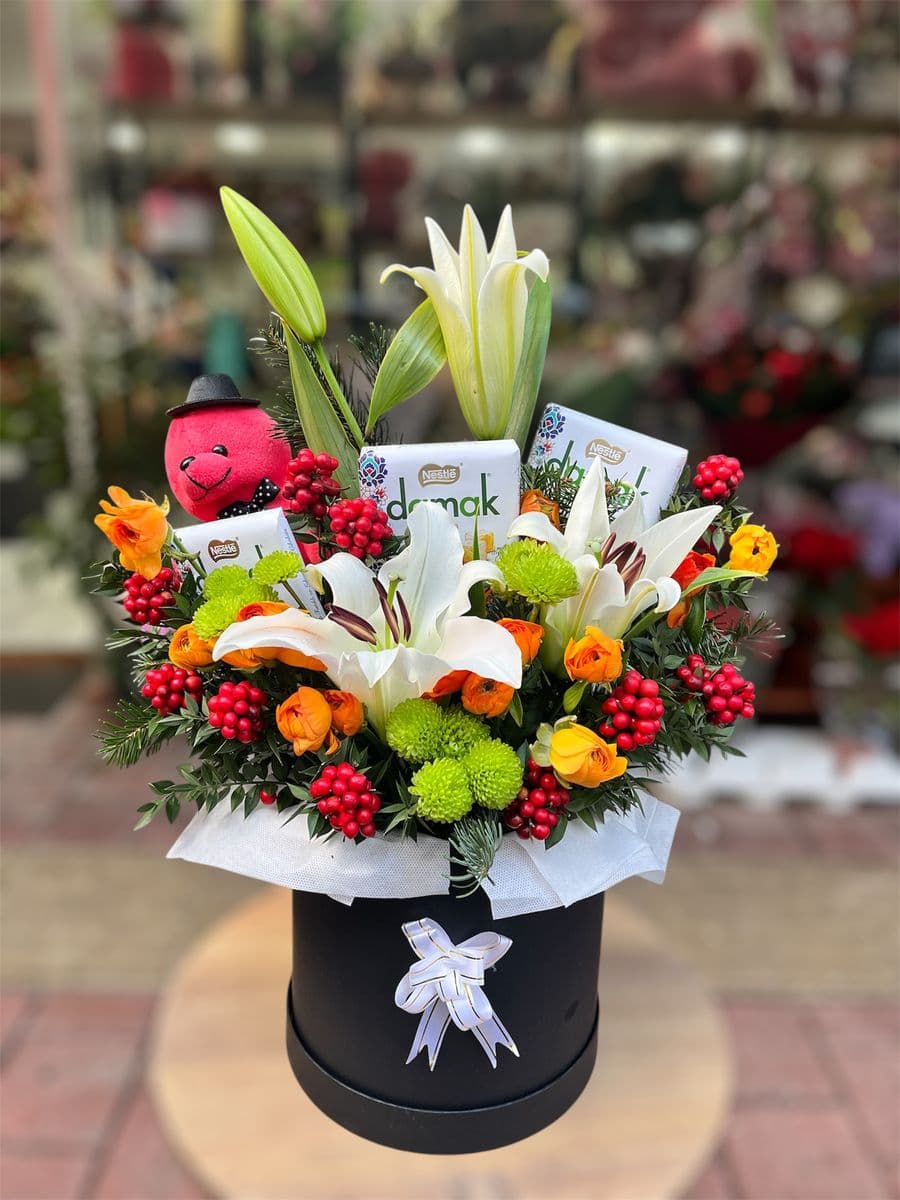 Lilyumlu Kokina Güzelliği