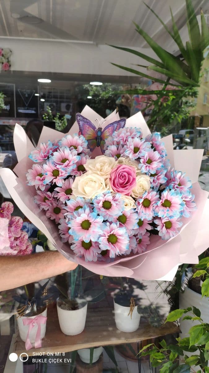 Beyaz Güllü İthal Papatyalar