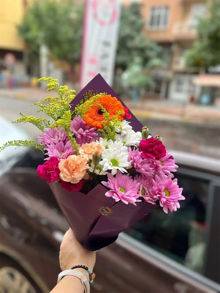 Karışık Güzellik